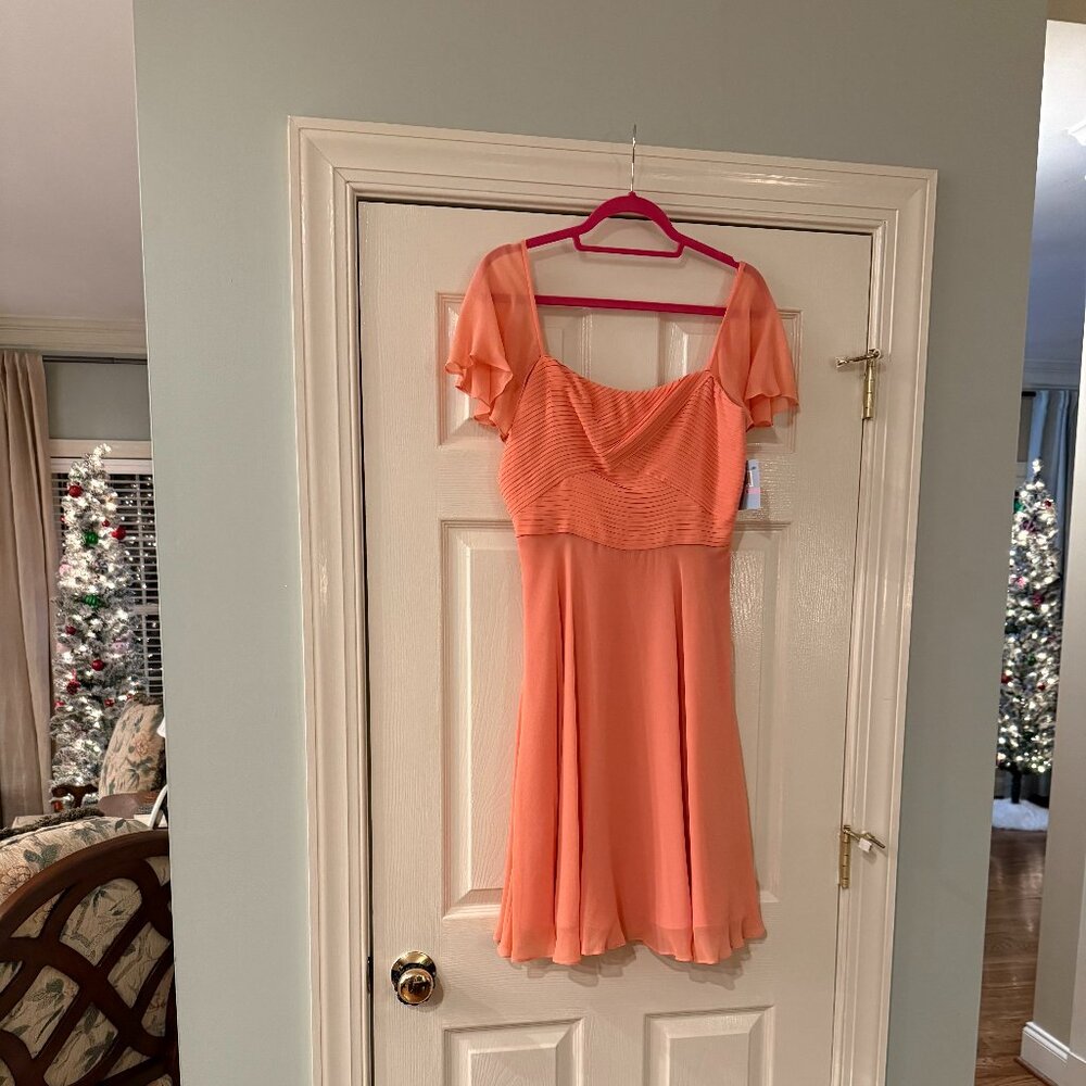 Suzi Chin Silk Dress, Flutter Sleeves Pleated Bodice, Size 6, Maggy Boutique